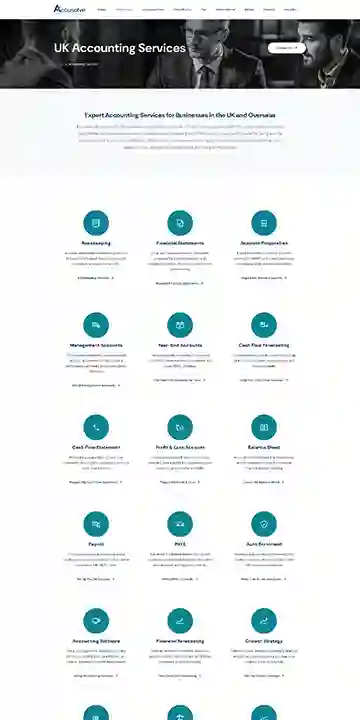 Accounting website build 