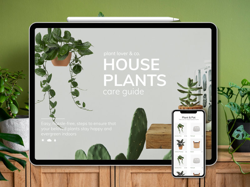 Website design and build